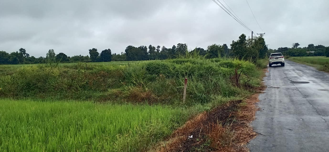 ที่ดิน พิกัด บ้านหนองหลวง เสลภูมิ ร้อยเอ็ด 150 ตรว.