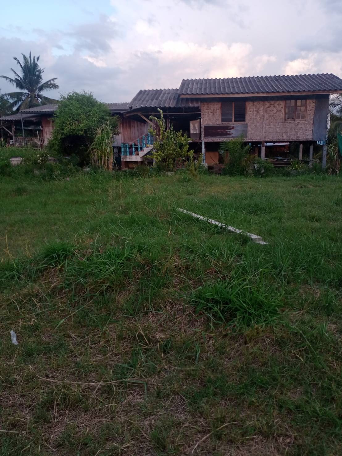 ที่ดินเปล่า ตำบลท่าซัก อำเภอเมือง จังหวัดนครศรีธรรมราช 4-2-18 ไร่ 