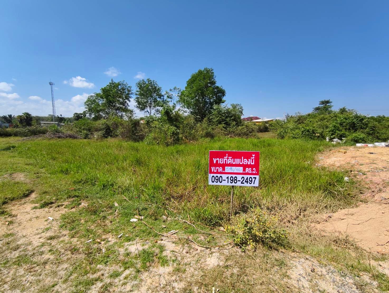 ขายที่ดินที่ท่าช้าง 5 ห้อง ห้องละ 300,000.-