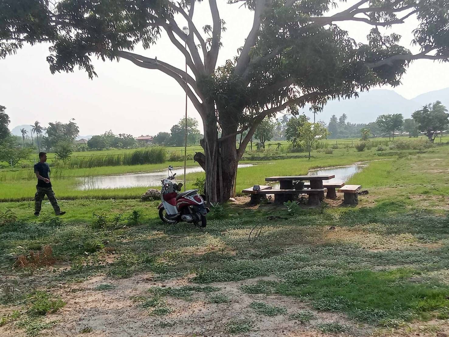 ขายที่ดินเพชรบุรี อำเภอชะอำ ที่ดินหน้ากว้าง เหมาะลงทุนมาก