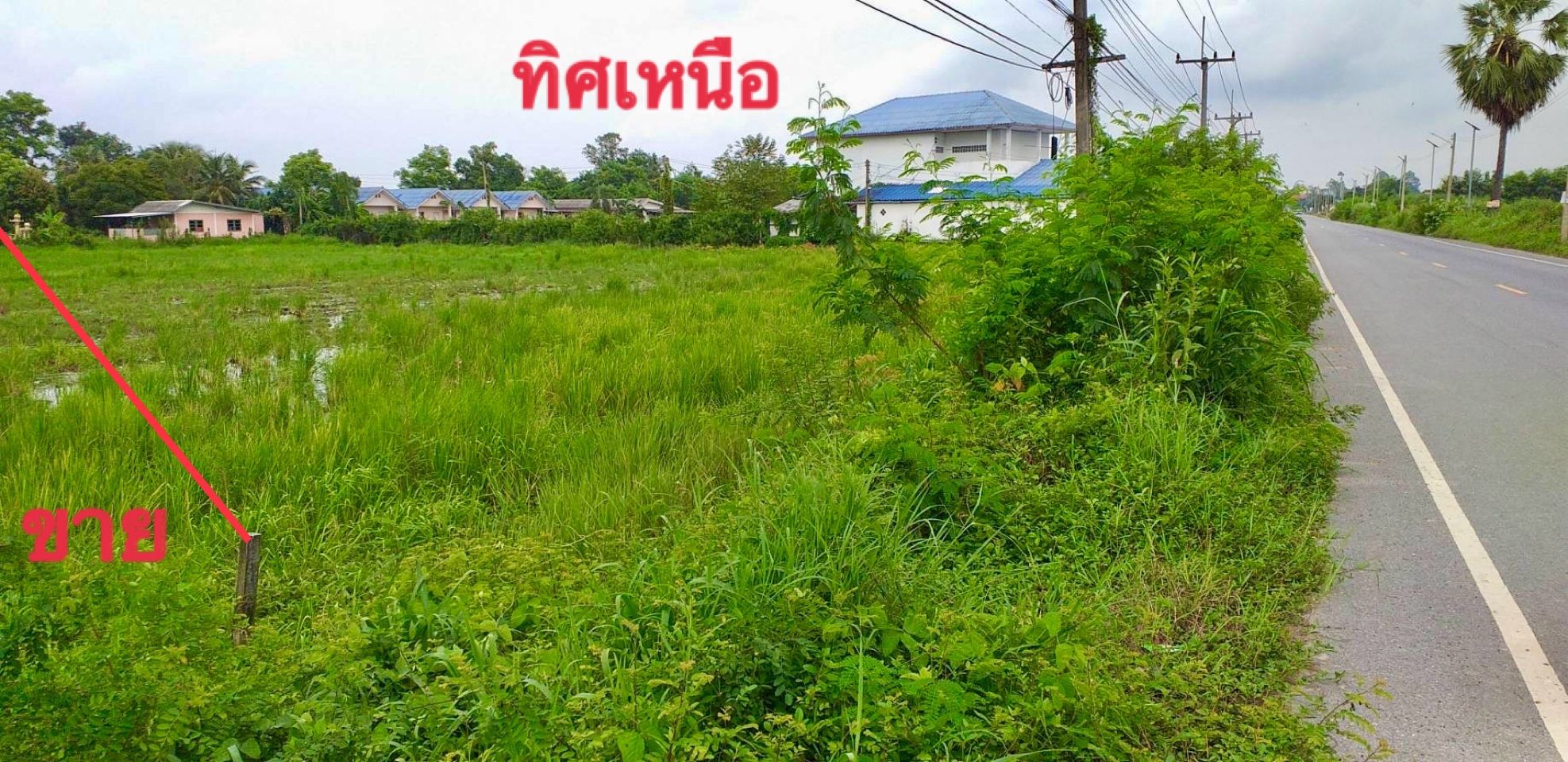 ขายที่ดินนครนายก เมืองนครนายก ที่ดินเปล่าติดถนนสาธารณะ 4-0-6 ไร่.