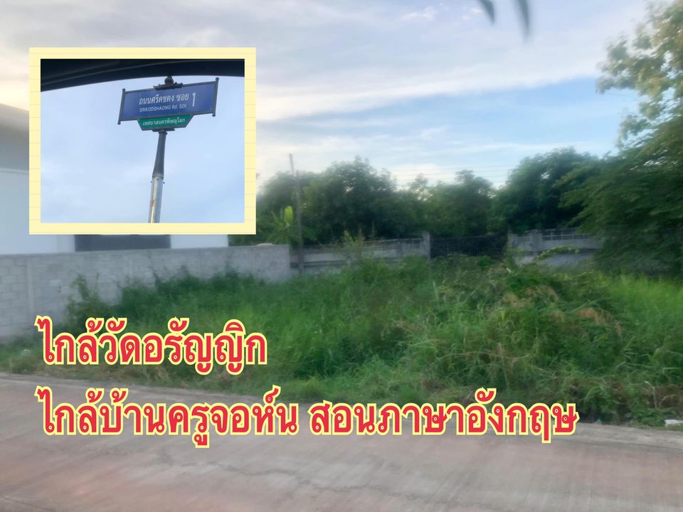 ขายที่ดินพิษณุโลก เมืองพิษณุโลก 85ตารางวา