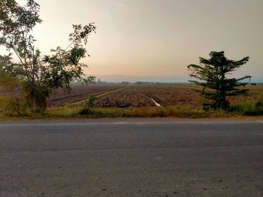 ่ที่ดินทำเลดี วิวภูเขา เพชรบูรณ์ 10-0-21.8