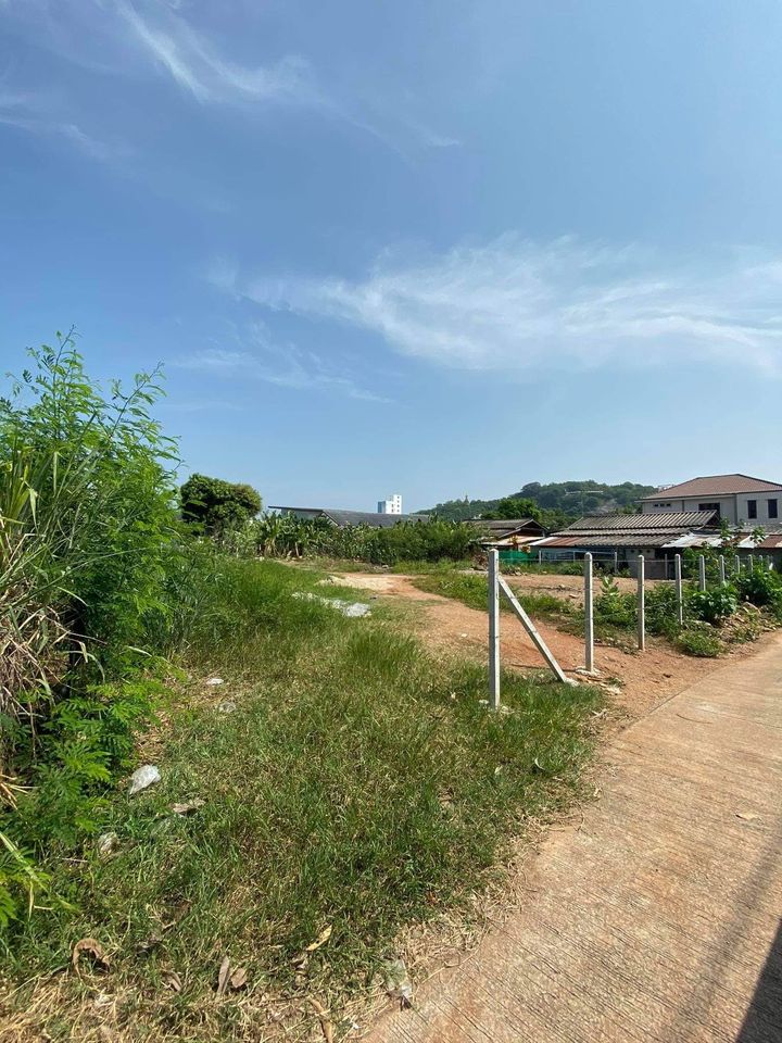 ที่ดินกำลังดี 200 ตรว. พื้นที่สี่เหลี่ยมสวยมาก  หัวหิน ประจวบคีรีขันธ์ 2 งาน