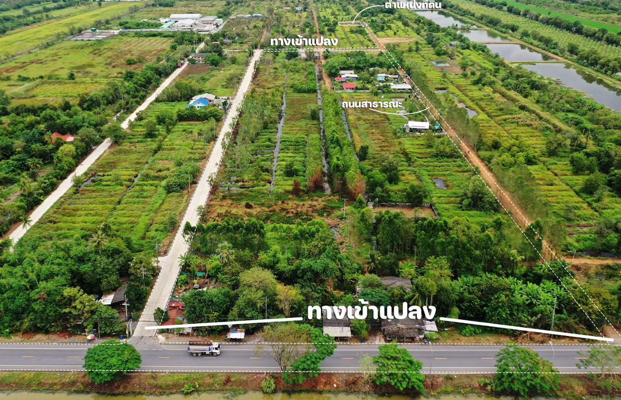 ขายที่ดินปทุมธานี หนองเสือ ที่ดินเปล่า แบ่งขาย คลอง 10 ซอย สยามออริจินอล