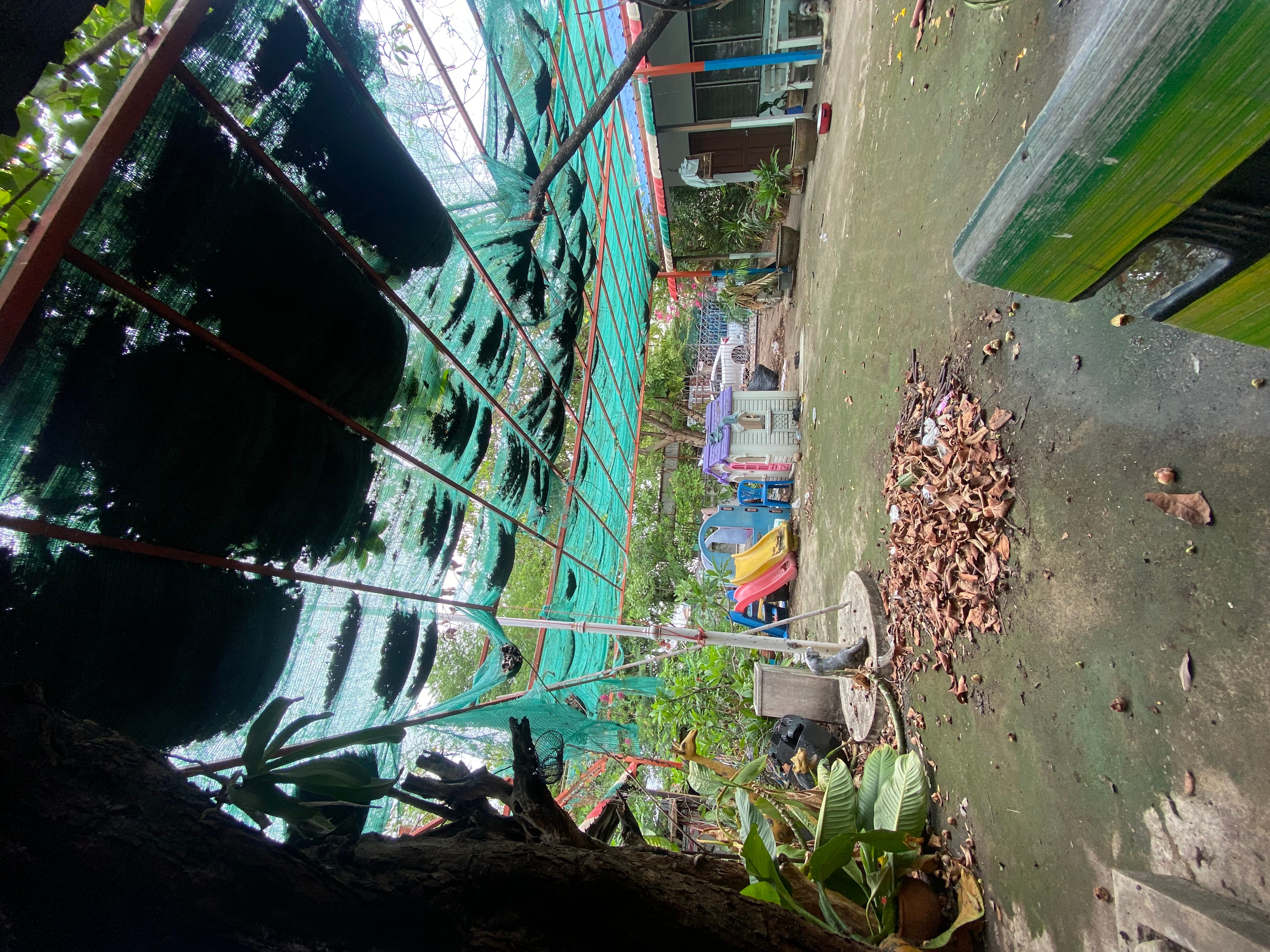 ขายถูกเท่าประเมิน183ตร.ว6.7ล้านบาทรวมโอน พหลโยธิน58แยก20 กทม.