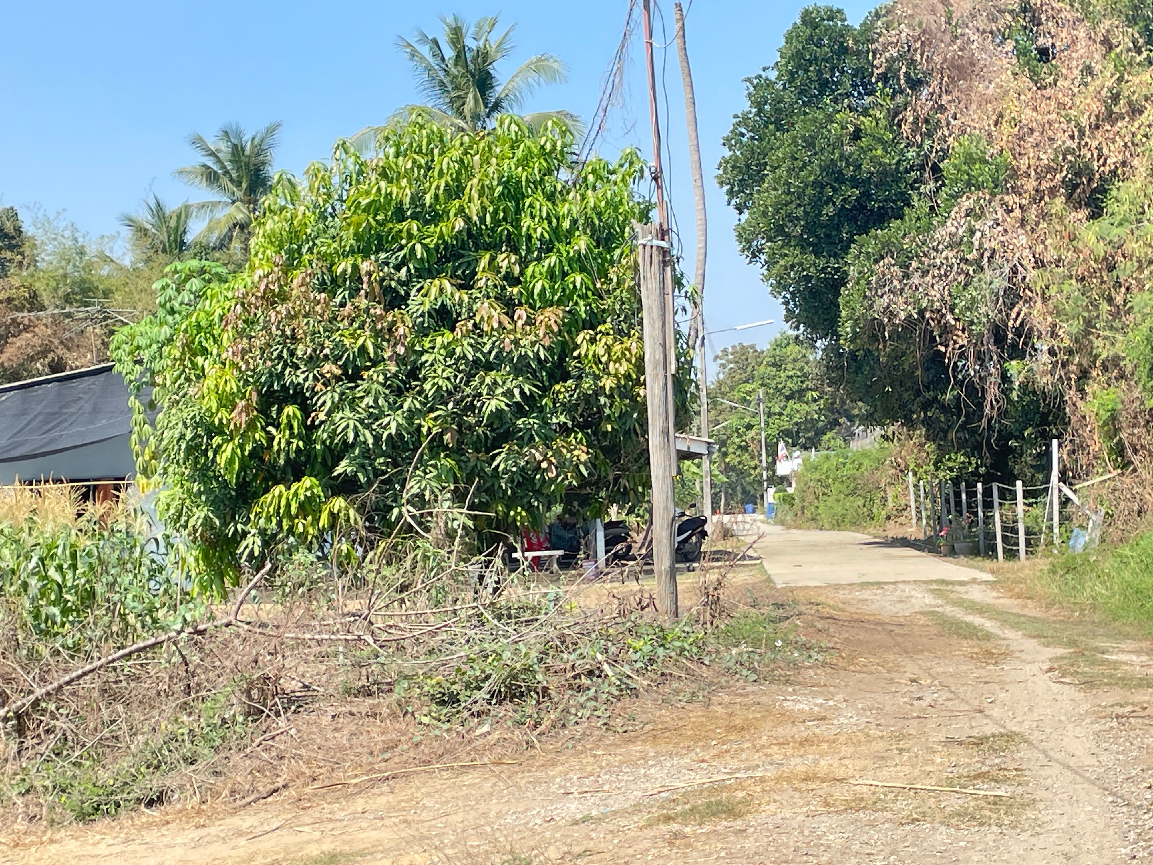 ขายที่ดินแถมบ้าน