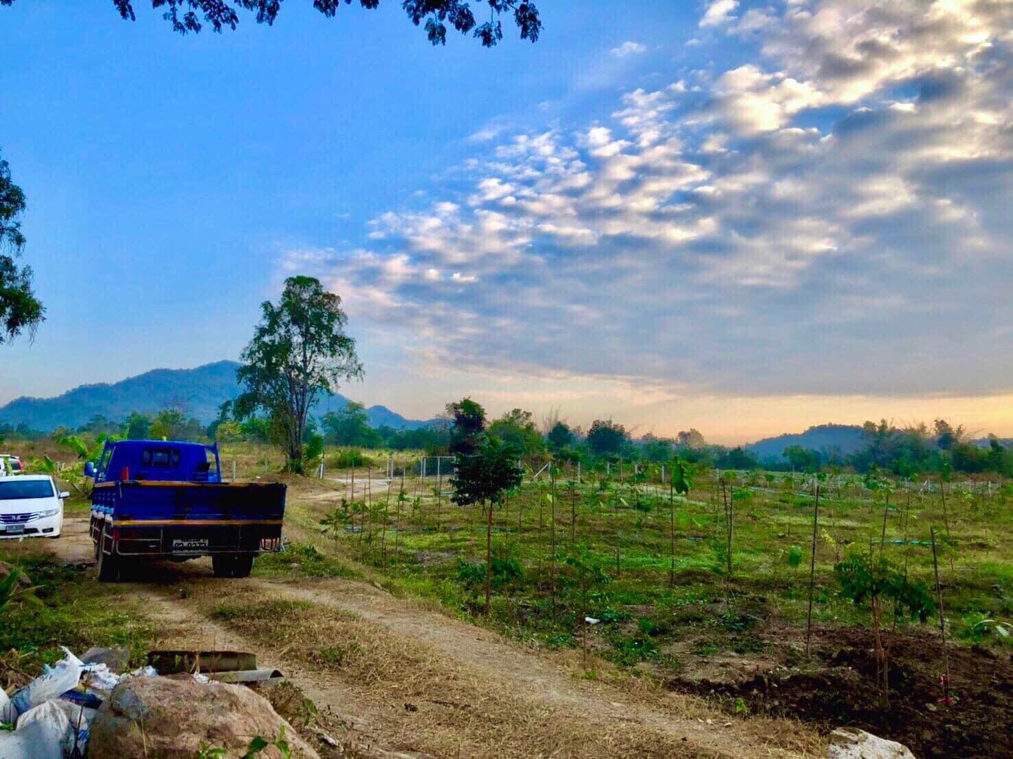 ที่ดินใกล้แม่น้ำปิง 6-3-96 ตร.ว.