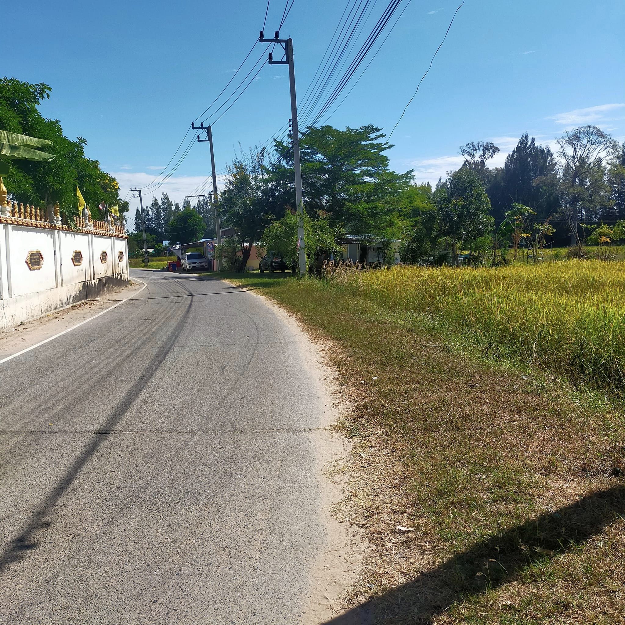 ขายที่ดินร้อยเอ็ด เมืองร้อยเอ็ด 4-3-4.3