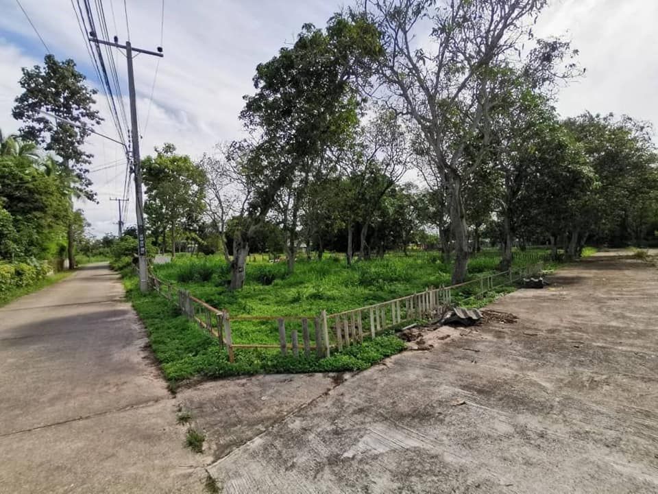 ที่ดินป่าไผ่ สันทราย ใกล้มหาวิทยาลัยแม่โจ้ 1-1-73 ไร่