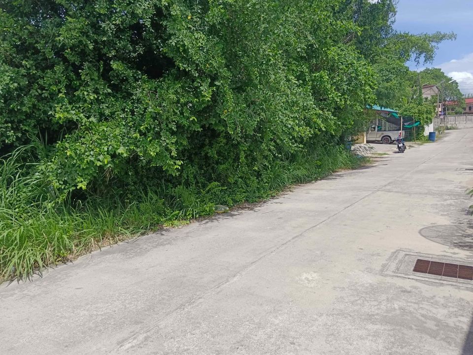 ที่ดิน ใกล้ถนนบายพาสเลี่ยงเมืองชลบุรี 2-0-46 ไร่