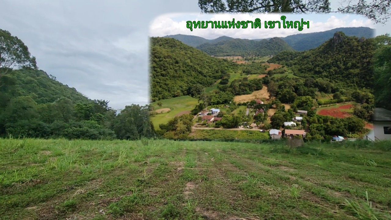 #ขายที่ดินเขาใหญ่ ท่ามกลางหุบเขา,ติด น้ำลำตะคลอง 12-2-54 ไร่.ยกแปลง 73 ล้าน | ข้างชาโตว์ ต.หมูสี | (ตร.วาล่ะ 14,500 บ.) สุดอลังการฯ