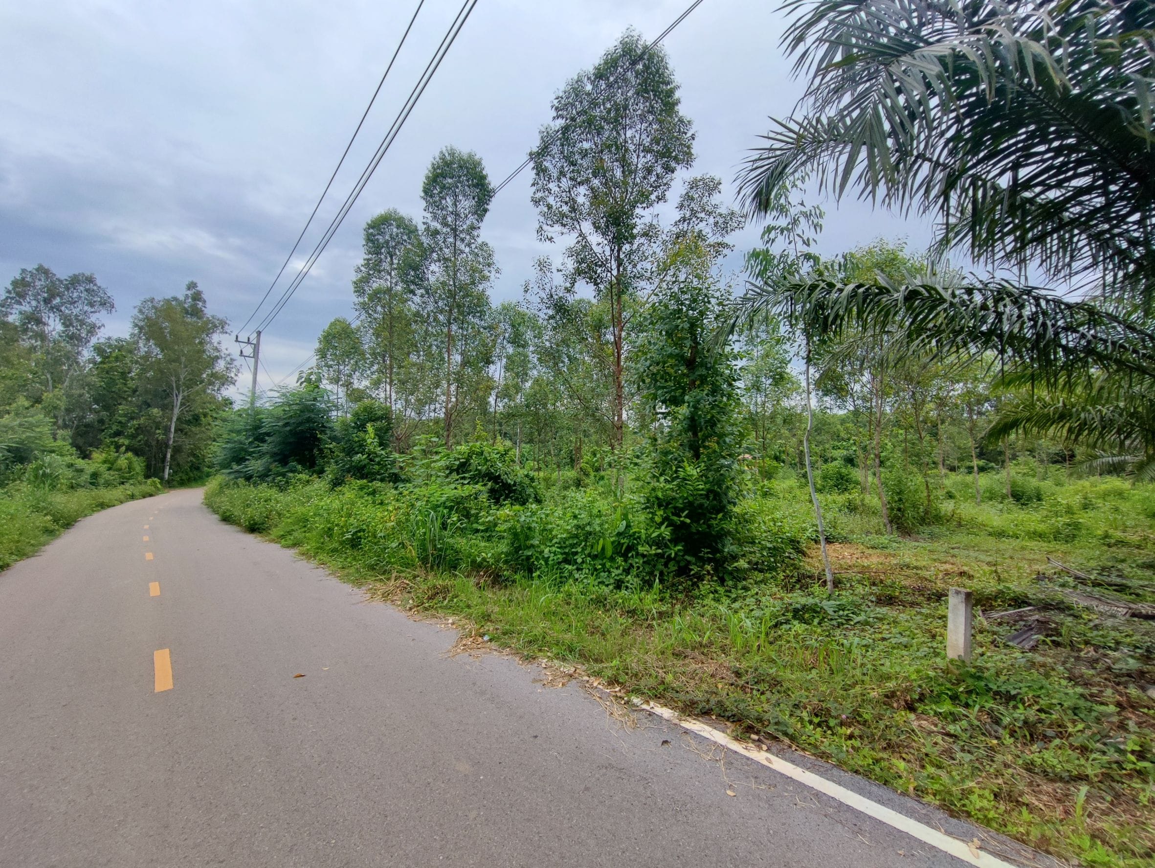 ขายที่ดินสำหรับสร้างบ้าน หลังเทศบาลนาอ้อ