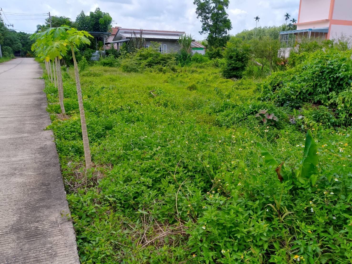 ขายที่ดินสงขลา อำเภอบางกล่ำ ที่ดินตำบลบ้านหาร อำเภอบางกล่ำ จังหวัดสงขลา