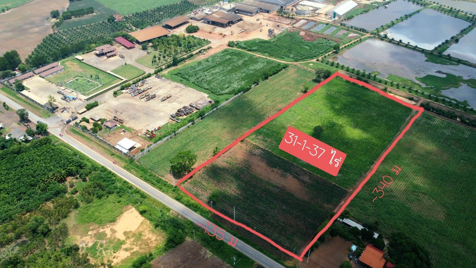 ที่ดินเปล่าเหมาะสร้าง โกดัง ศูนย์กระจายสินค้า รับซื้อพืชผลเกษตร #เสิงสาง #ติดถนนราชสีมาโชคชัย พื้นที่ 31-1-37 ไร่ เพียง 640,000บาท/ไร่ เท่านั้น
