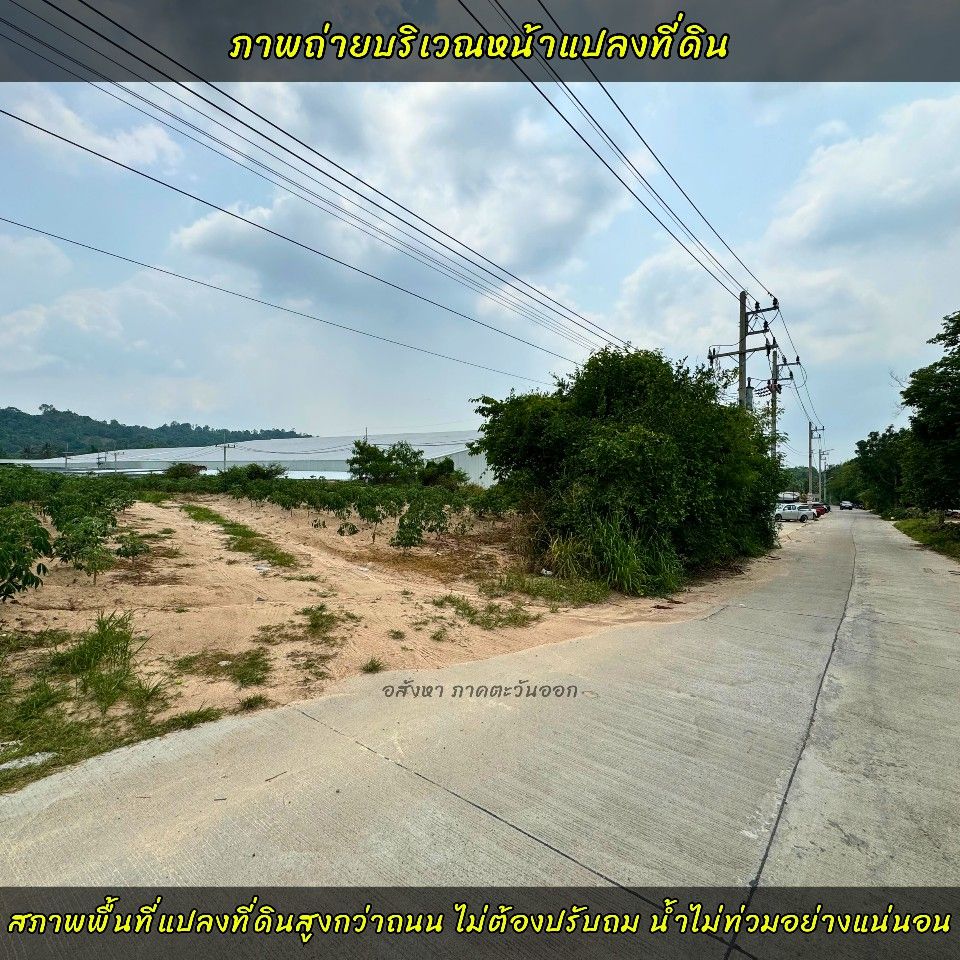 ขายที่ดินถมแล้ว ใกล้ท่าเรือแหลมฉบังชลบุรี พื้นที่สร้างโรงงานอุตสาหกรรมได้