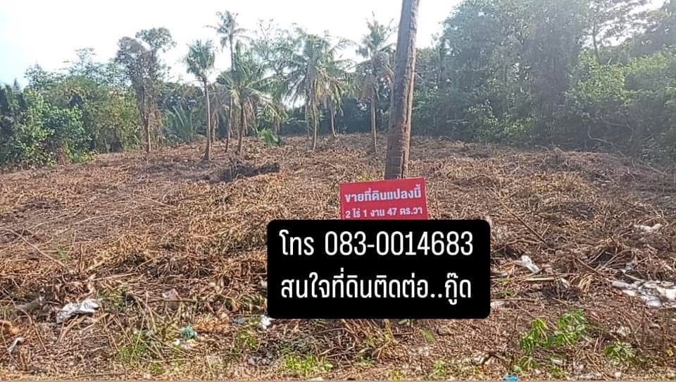 ขายที่ดิน "ท้องมังกร" ขนาด 2 ไร่ อ.พระประแดง จ.สมุทรปราการ