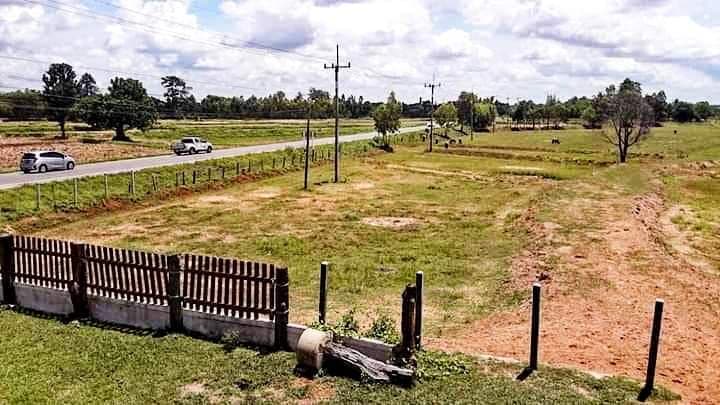 ขายบ้านพร้อมที่ดินมหาสารคาม บรบือ 15 ไร่