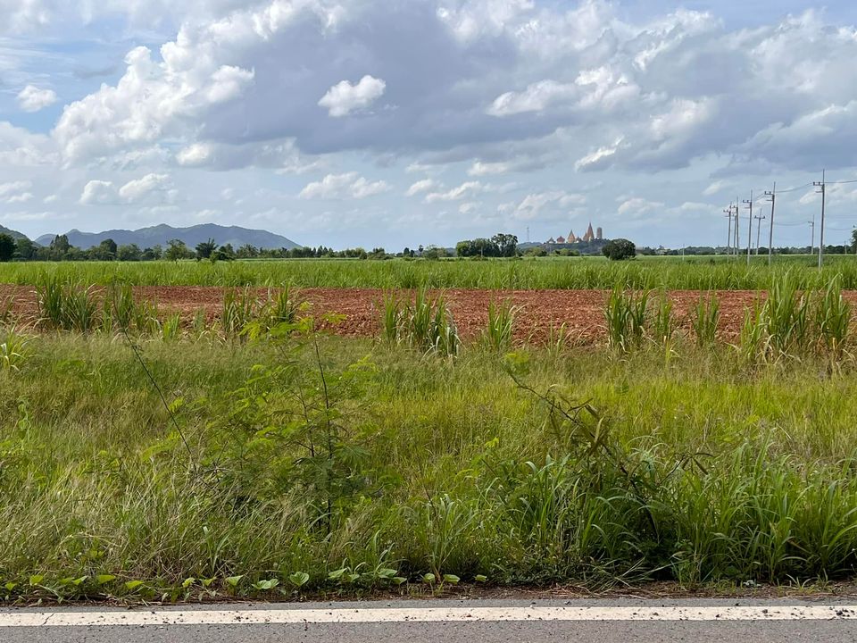 ที่ดินใกล้วัดถ้ำเสือ ท่าม่วง กาญจนบุรี 4 ไร่