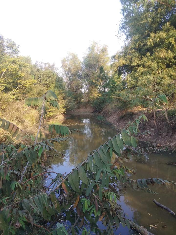 ขายที่ดิน  อ.เดชอุดม อุบลราชธานี 5-3-7