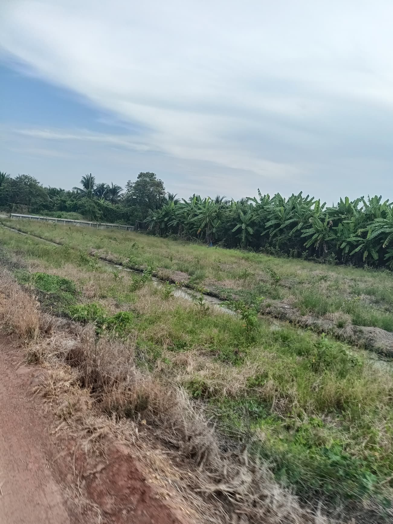 ที่ดิน อ.บ้านแพ้ว จ.สมุทรสาคร 4-1-53.6