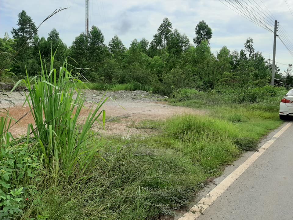 ที่ดินถมสูงเท่ากับถนน ปราจีนบุรี 2-2-23