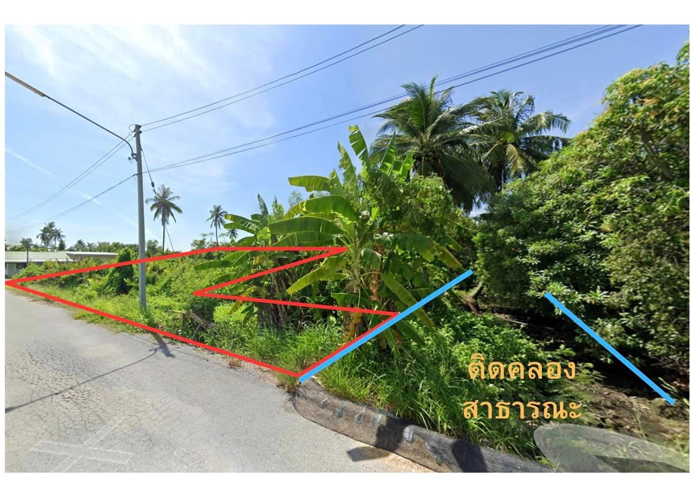 ขายที่ดินแปลงสวย ทำเลทอง ดงเกตุ สามพราน นครปฐม