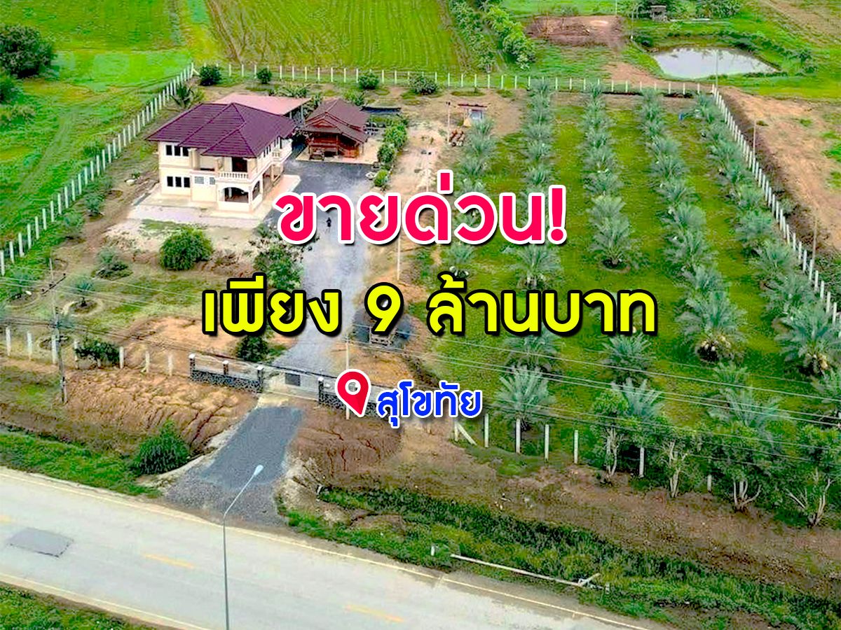 ขายด่วน บ้านสวยที่ดินทำเลดีติดถนน น้ำไม่ท่วม เนื้อที่ 4 ไร่ 41.5 ตารางวา จ.สุโขทัย