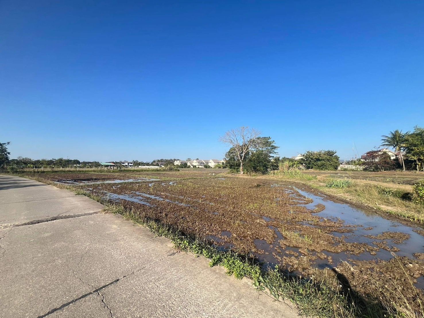 ขายที่ดิน ท้องนา ที่เศรษฐกิจ สันทราย เชียงใหม่ 1-2-75 ไร่