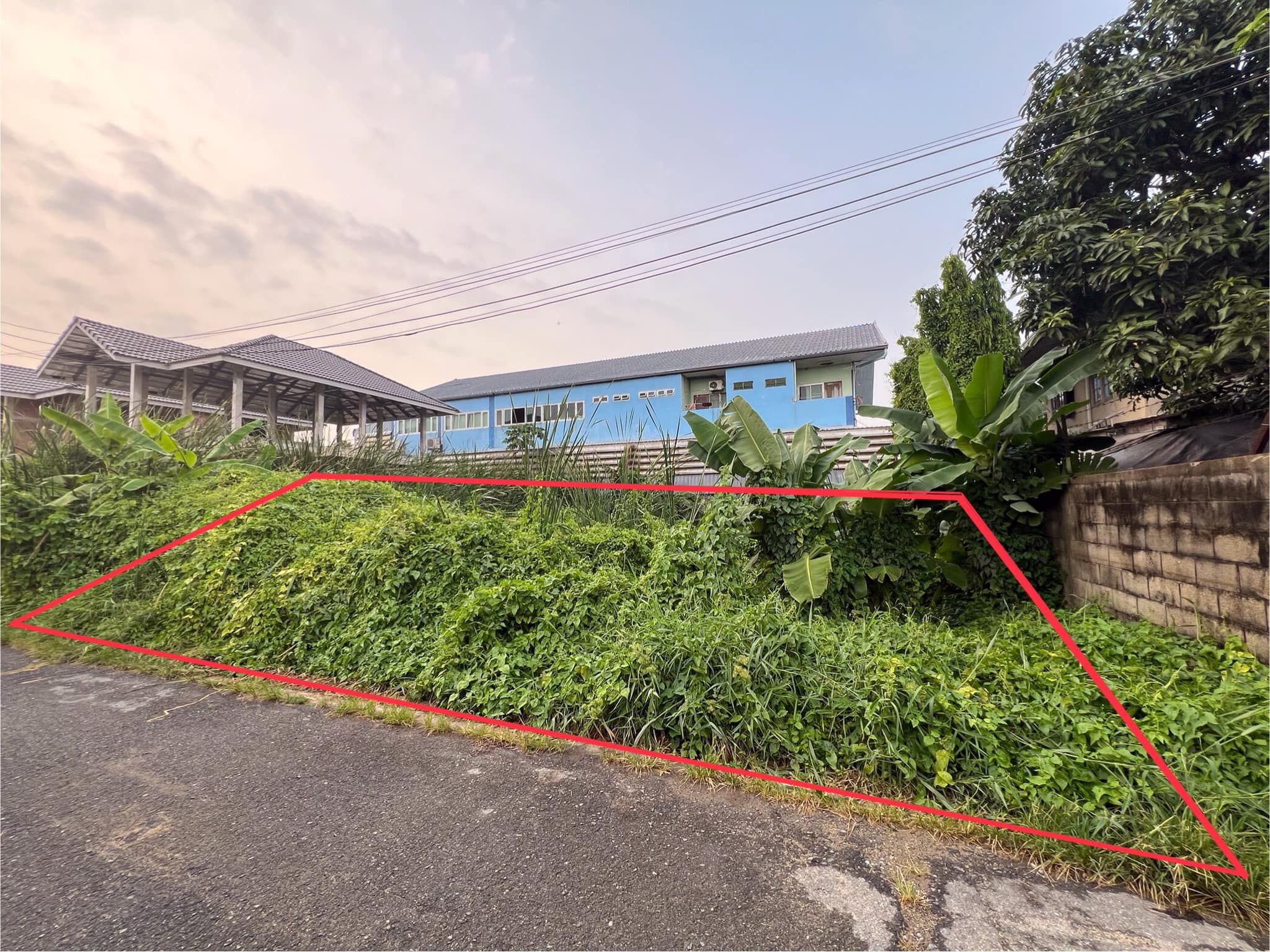 🔊ขายที่ดิน 100 ตรว. (หน้ากว้าง ประมาณ  20*20 เมตร) 📍พิกัด ศาลายา ซอยสหพร 23 (ข้างมหิดล ศาลายา) 📝โฉนดพร้อมโอน 