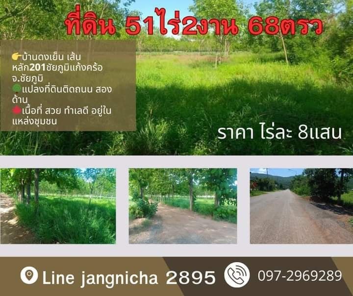 ขายที่ดินชัยภูมิ 51 ไร่