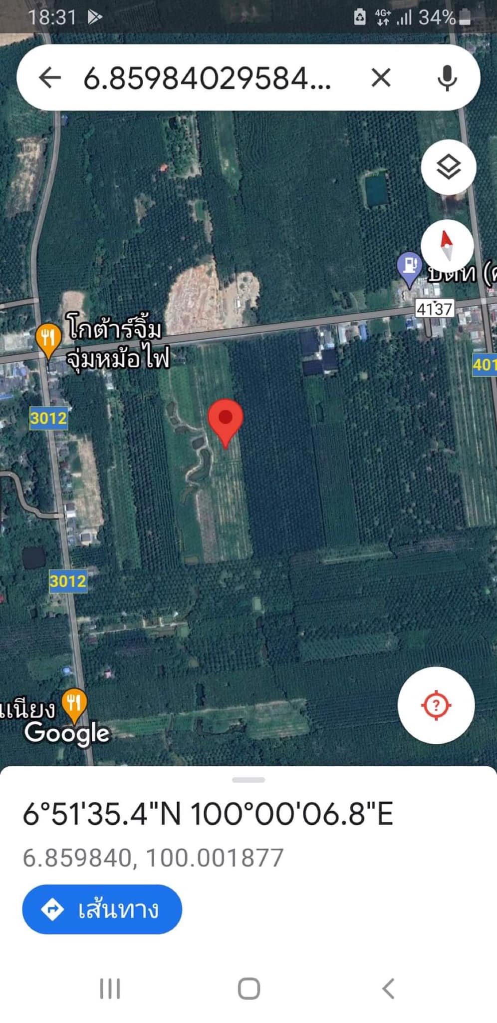 ที่ดินสวนปาล์ม ควนกาหลง สตูล 22-1-84.9