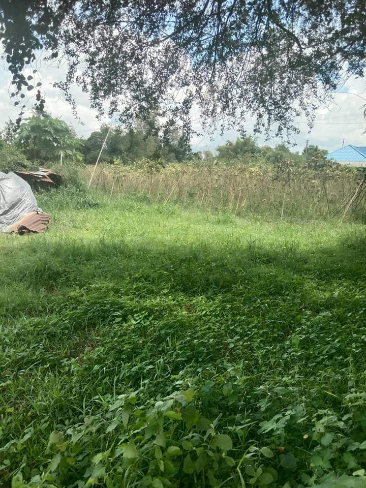 ที่ดินสวย มีสระน้ำ 7 ไร่ ราชบุรี