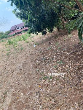 ขายที่ดินนครราชสีมา แปลงสวย หมูสี ท่าช้าง โฉนด