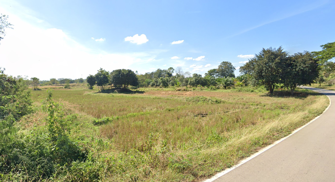 ขายที่ดินเลย แปลงสวย ติดถนนสาธารณะ ใกล้โรงเรียนธาตุพิทยาคม เชียงคาน เลย 