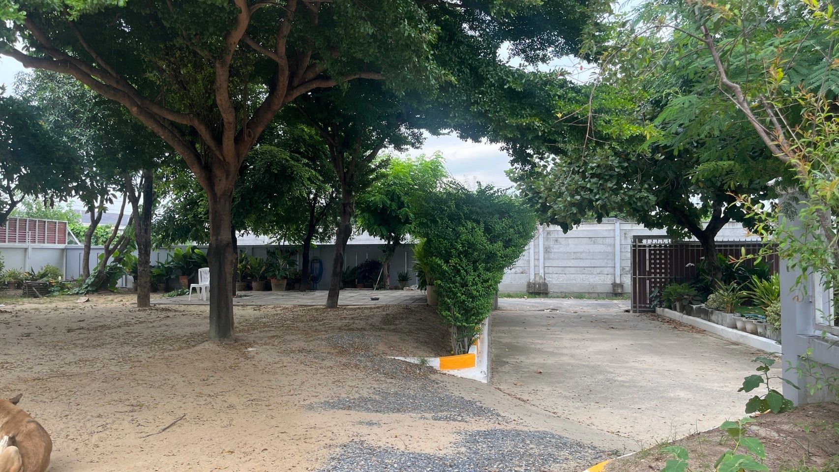 ขายที่ดินพร้อมสิ่งปลูกสร้าง