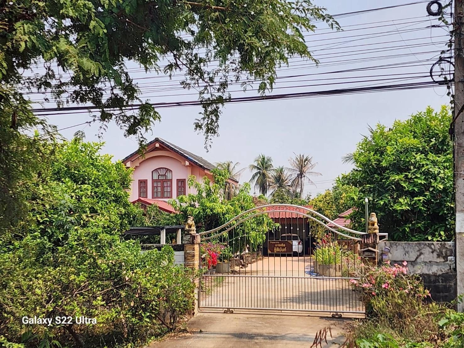 📢 ประกาศขายที่ดินพร้อมบ้านและสวนมะยงชิด ติดถนน.ศรีสัชนาลัย จ.สุโขทัย 