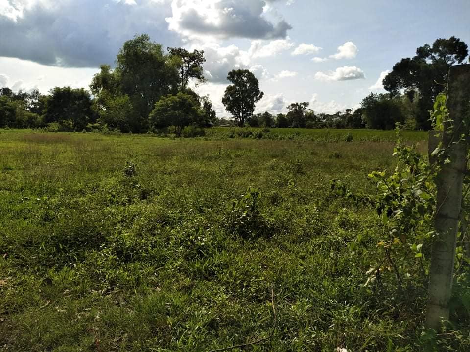 ที่ดินชุมชน ต.แสนสุข อ.วาริน จ.อุบล  เนื้อที่ 2 ไร่
