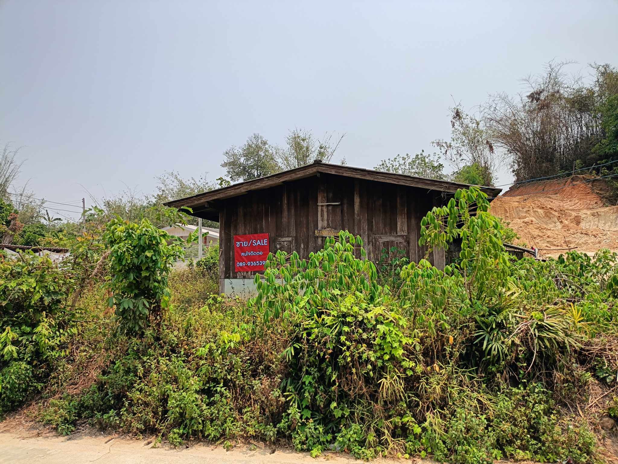 ขายที่ดินถมสูงมีบ้านตำบลแม่นะ เชียงดาว เชียงใหม่ 96 ตร.ว