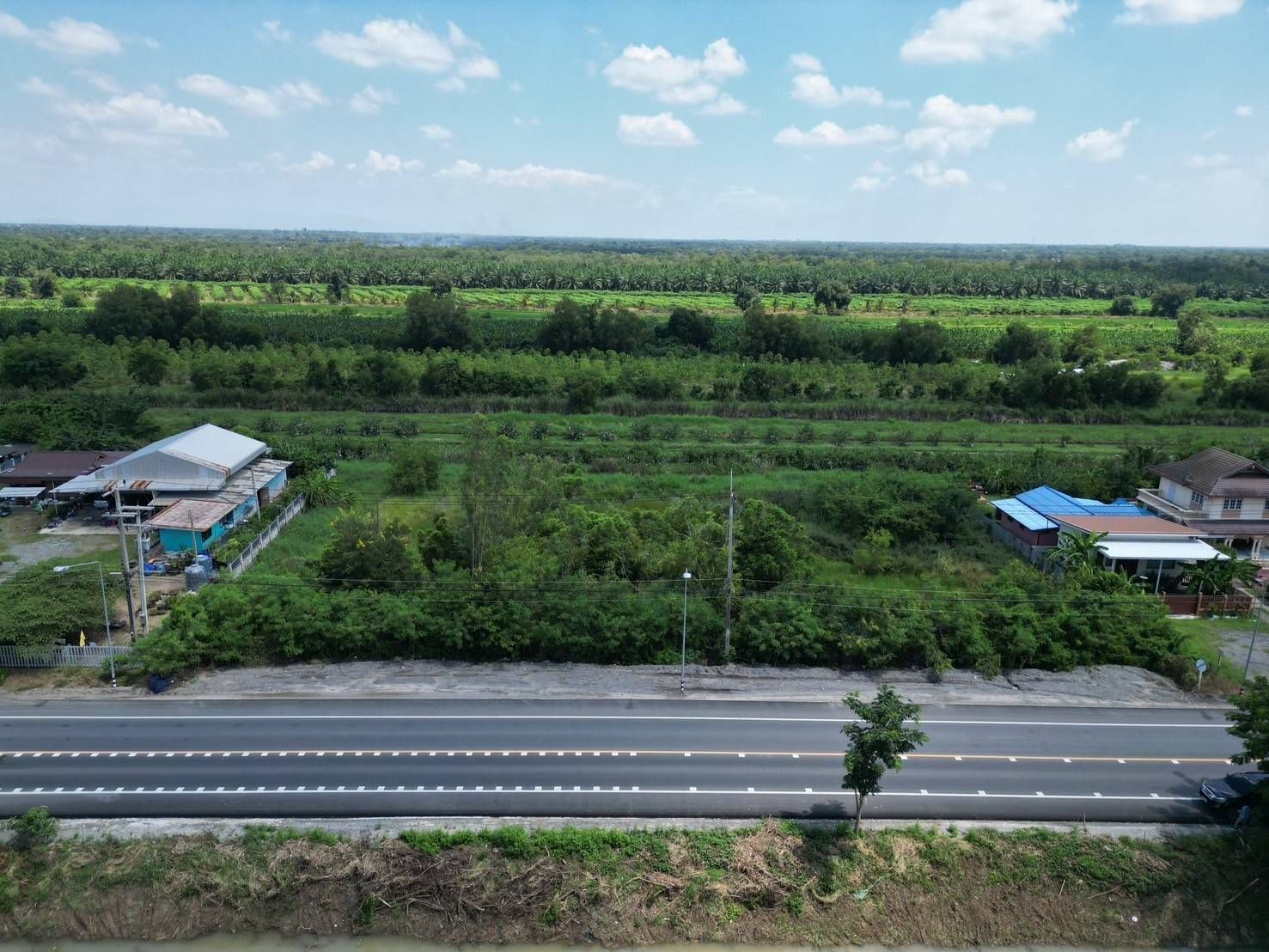 ขายที่ดินปทุมธานี อำเภอหนองเสือ ที่ดินแปลงสวย ใกล้แหล่งอำนวยความสะดวก น่าลงทุน