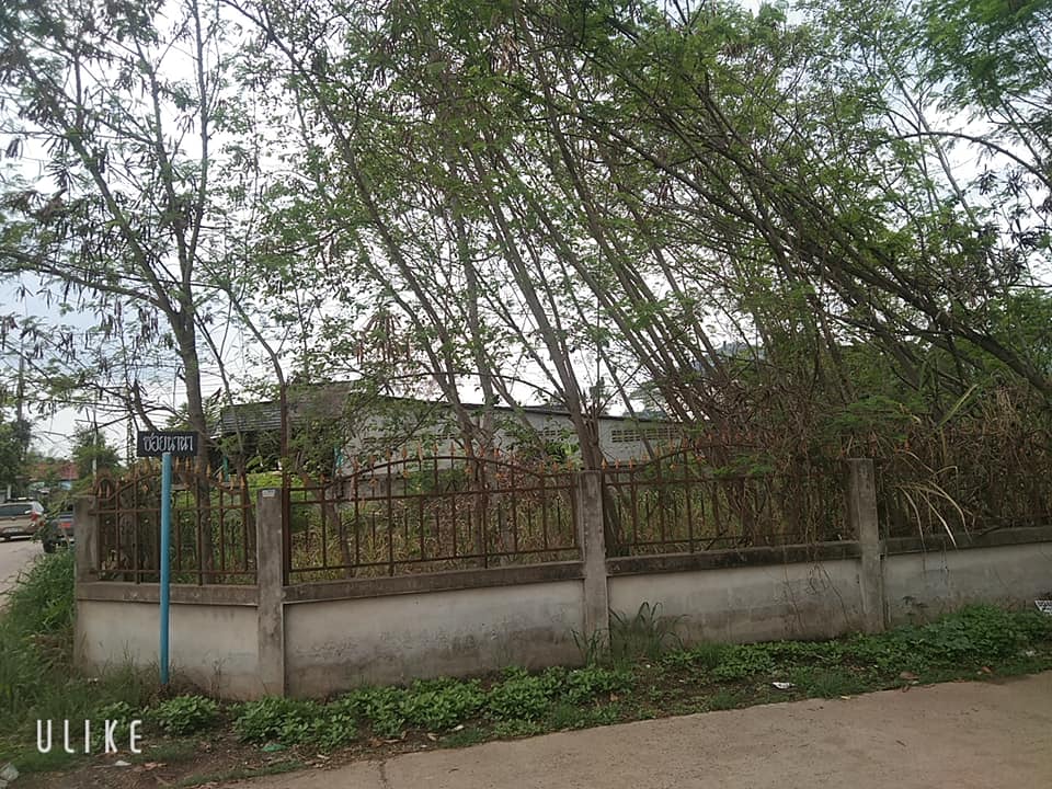 ที่ดินเหมาะ สร้างบ้าน ที่พักอาศัย อุดรธานี 96.4 ตรว.