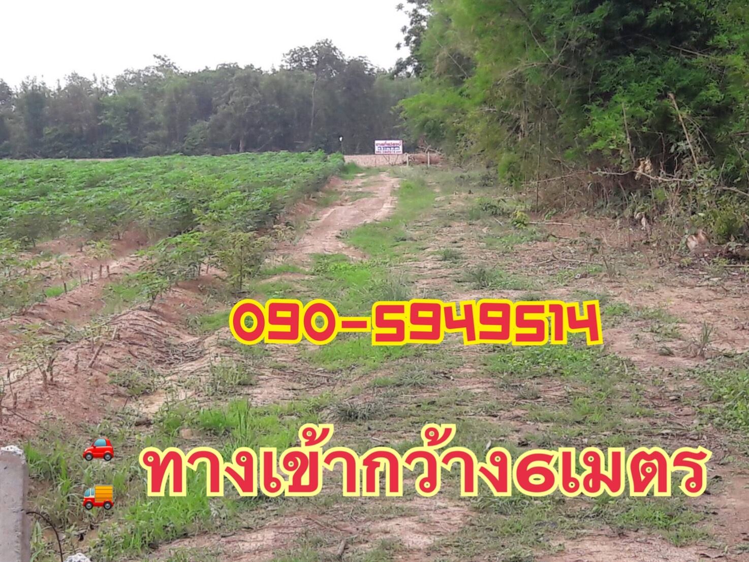 #ขายที่ดินปราจีนบุรี  ที่ดินแปลงสวย บรรยากาศดี แปลงสวย น่าลงทุน