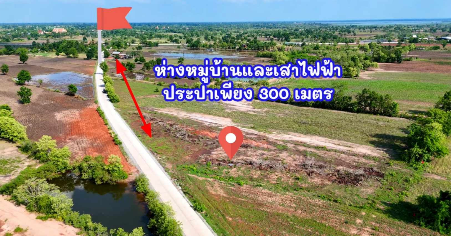 ขายด่วน! ที่ดินด่านขุนทด ติดถนนคอนกรีตหน้ากว้าง 90ม.(ห่าง4เลน 500ม.)