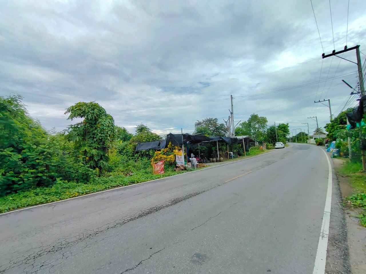 ขายที่ดิน 364 ตรว. สวนลำไยอยู่ติดถนนใหญ่ ใกล้เชียงใหม่มากๆ แต่ราคาลำพูน