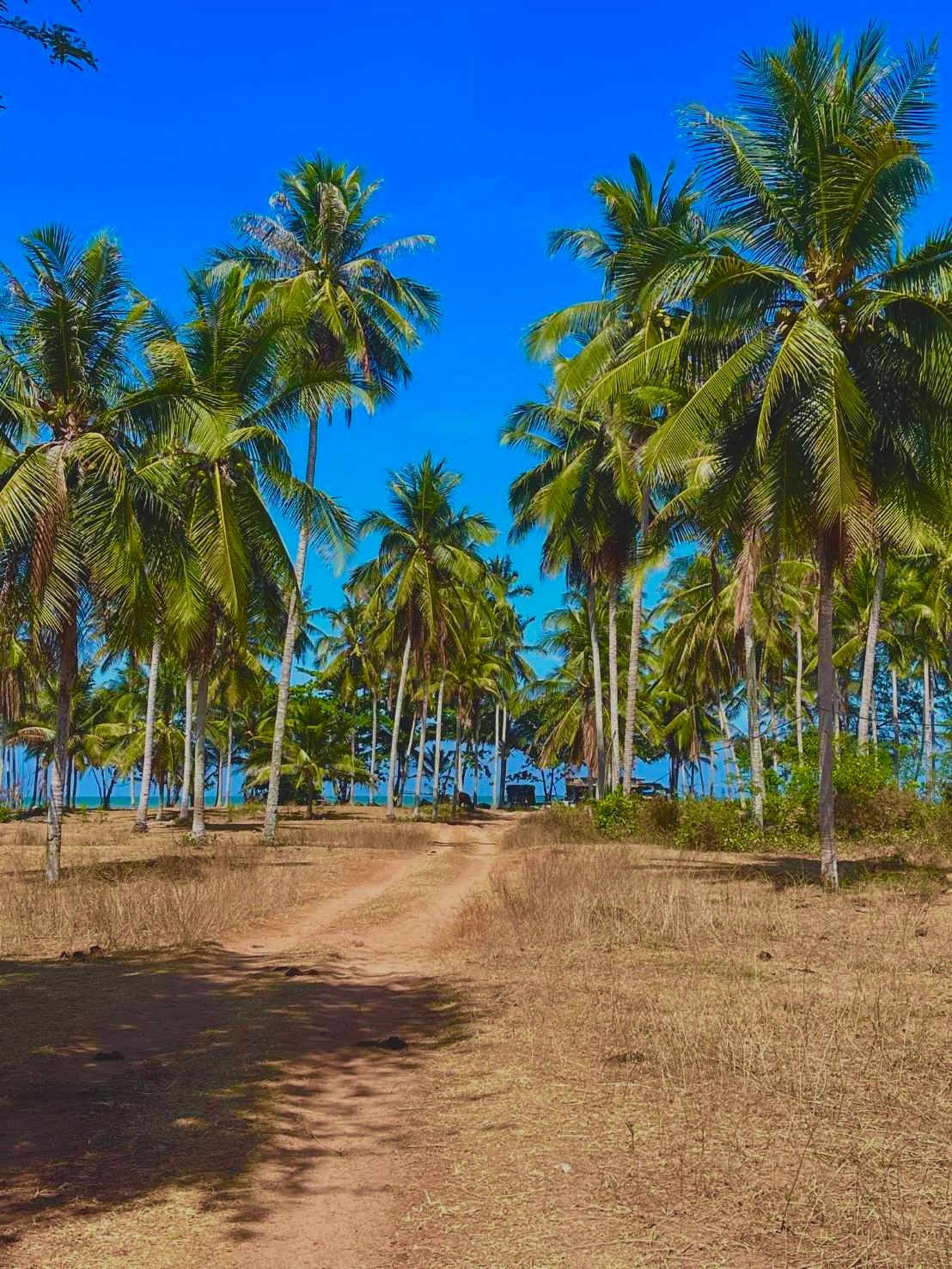 ขายที่ดินติดทะเลพร้อมบ้านหนึ่งหลังใกล้โครงการ "แลนด์บริดจ์" ท่าเรือฝั่งชุมพร
