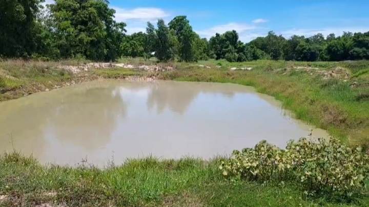 ขายที่ดินอุทัยธานี จ.อุทัยธานี อ.หนองขาหย่าง 44-3-91 ไร่