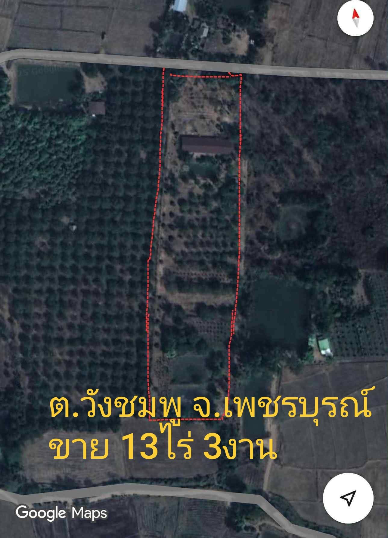 ที่ดินเพชรบุรณ์อำเภอเมืองใกล้ถนน