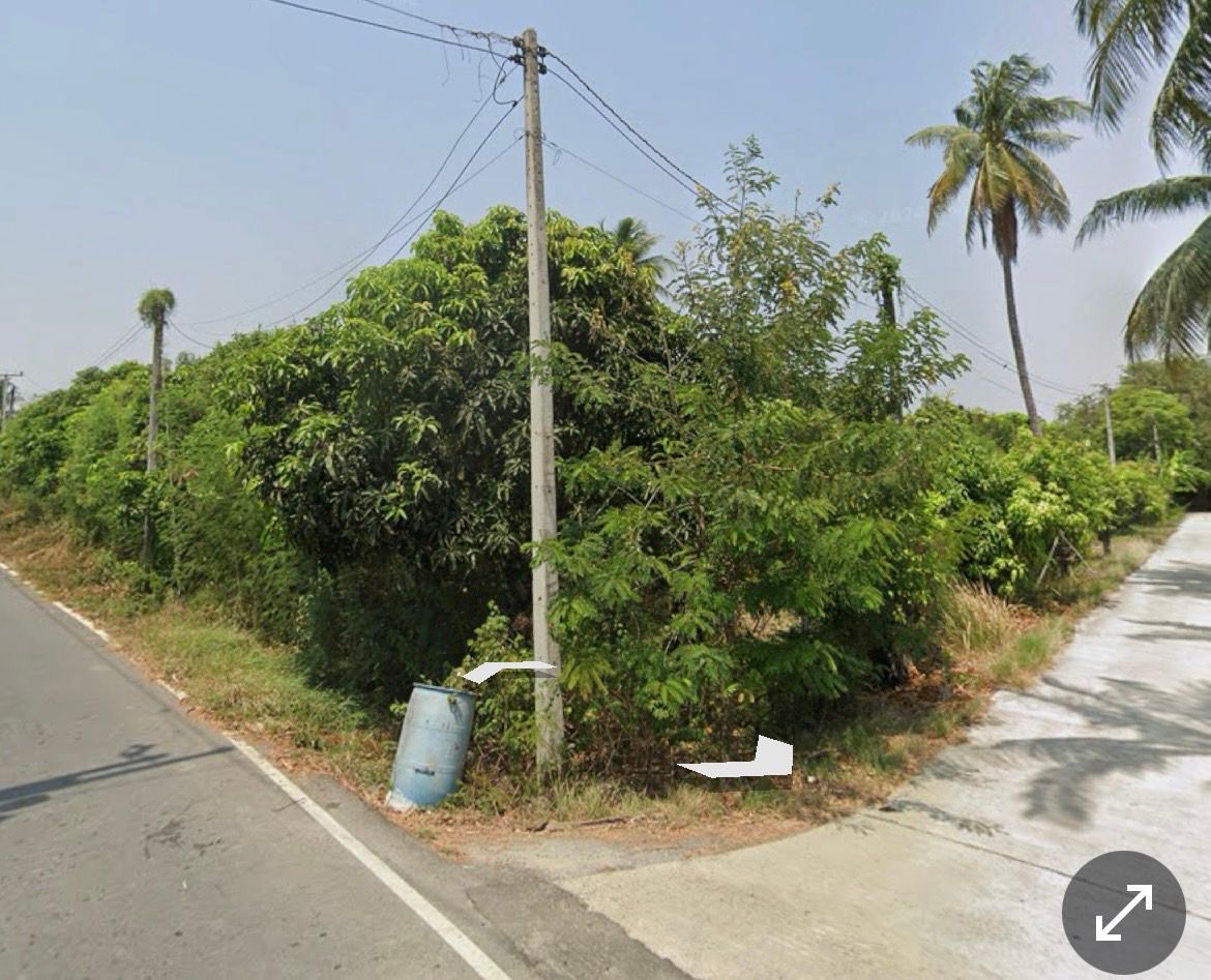 ขายที่ดินเมืองสุพรรณ  ทำเลติดถนน