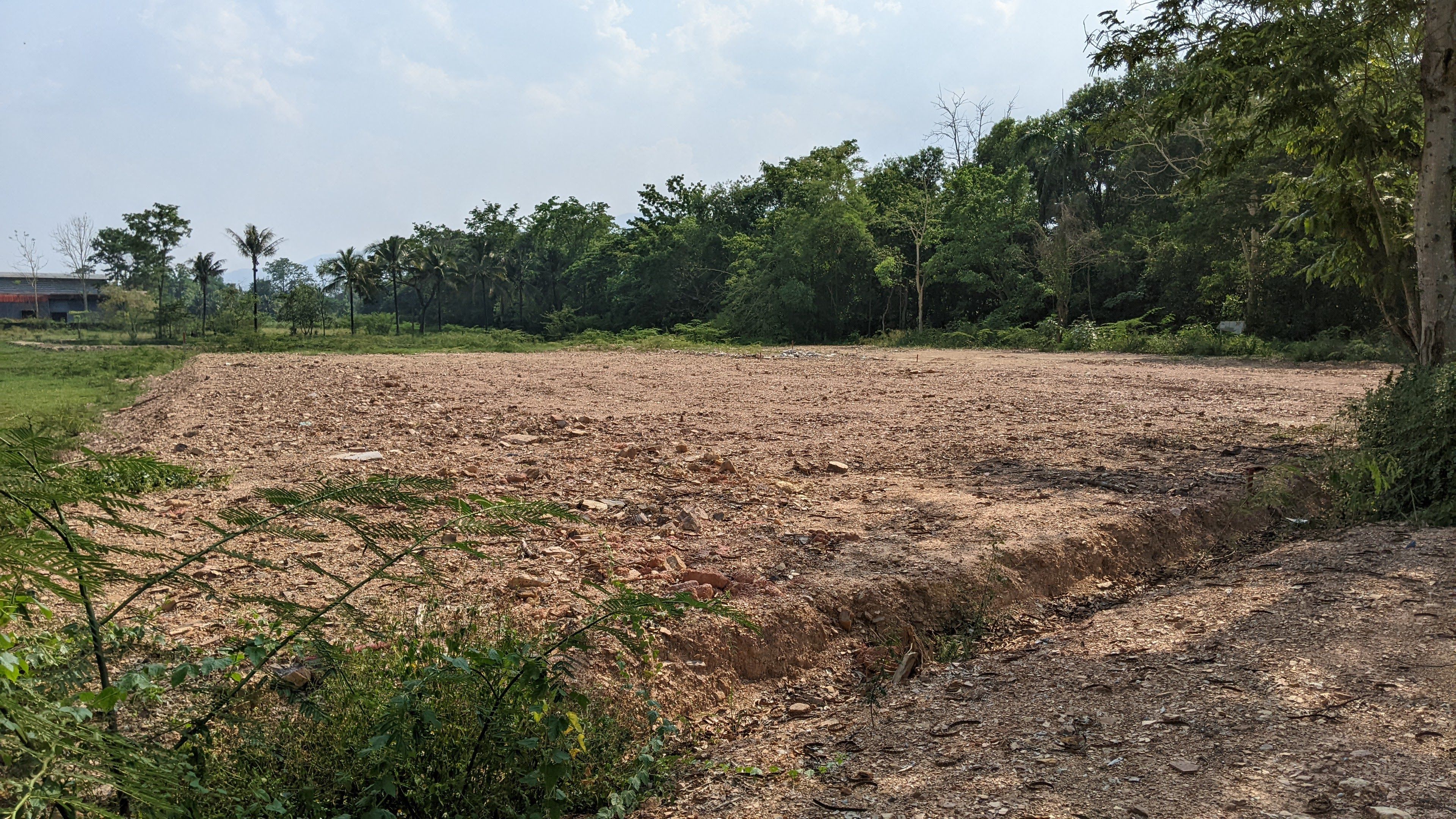 Land for Sale Near Maejo University - Ready to Build in San Sai 