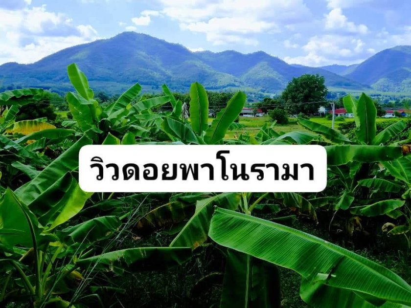 ที่ดินแบ่งขาย 1 ไร่ขึ้นไป ไร่ละ 290000 พร้าว เชียงใหม่
